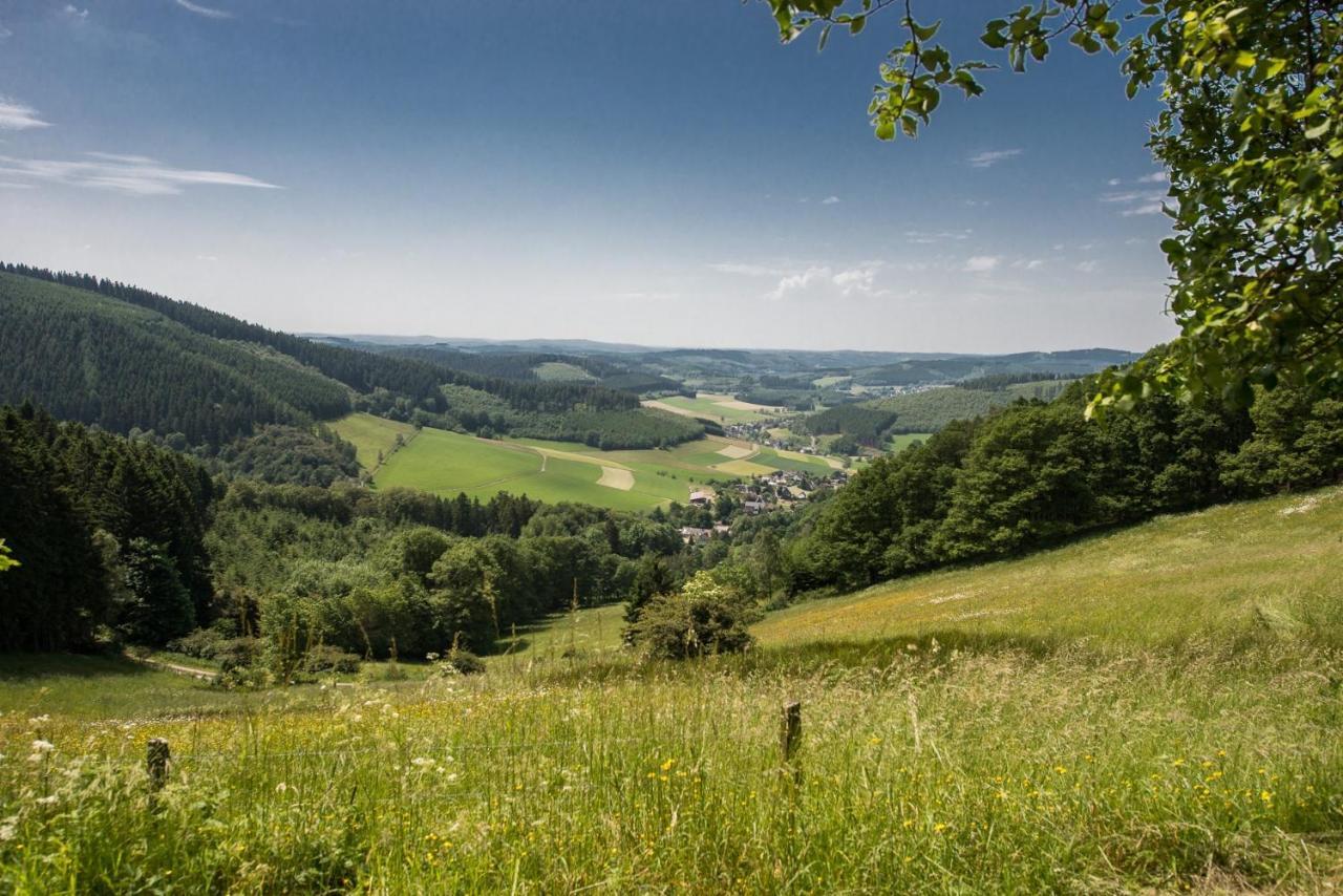 Wohnung Mit Talblick, Ladestation E-Auto Siegen Eksteriør billede